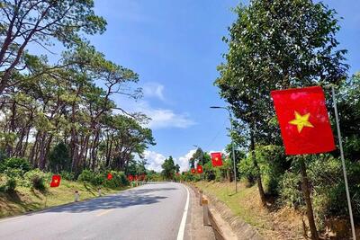 Chuỗi hoạt động ý nghĩa chào mừng xuân Ất Tỵ 2025